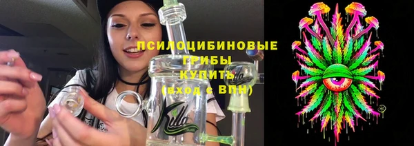 СК Белокуриха
