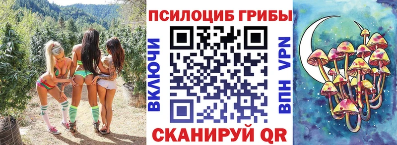 Галлюциногенные грибы ЛСД  Шатура 